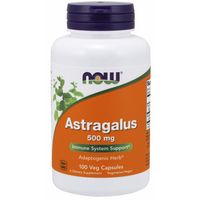 Now Foods Astragalus Immune System Support